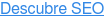 Descubre SEO